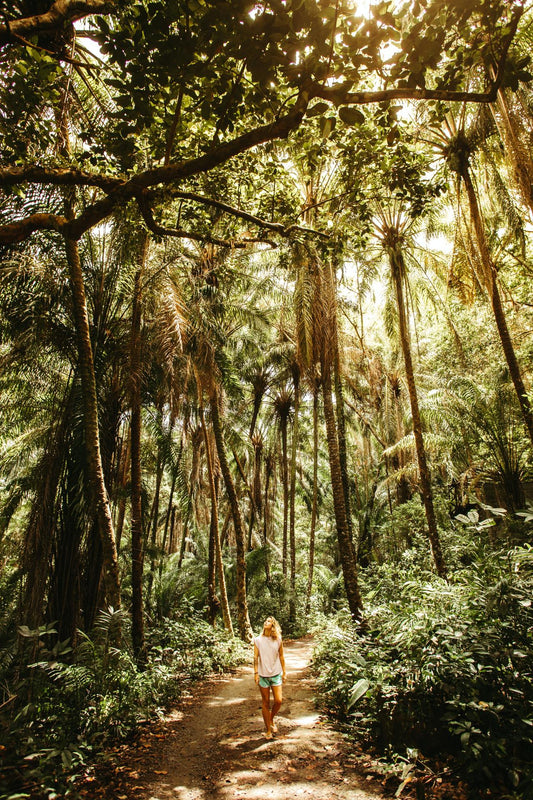 The wellness benefits of forest therapy & a simple mindfulness ritual to bring nature into your home.